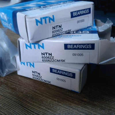 NTN 6006ZZ Bearing